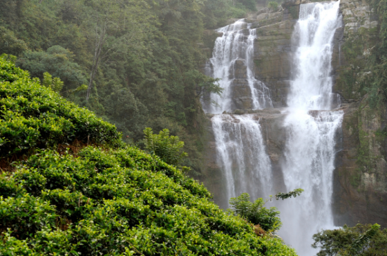 COORG, Karnataka