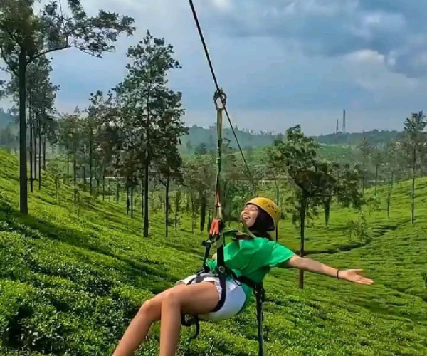 Zipline
