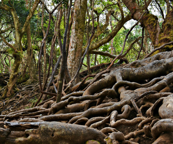 Guna caves