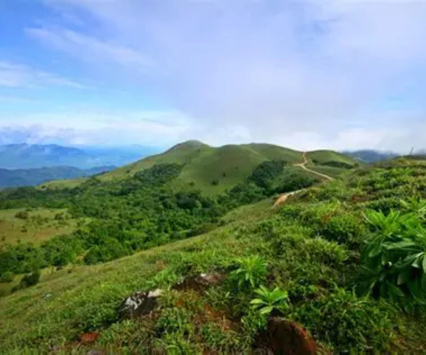 Mandalpatti